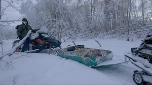 Wolf Territory