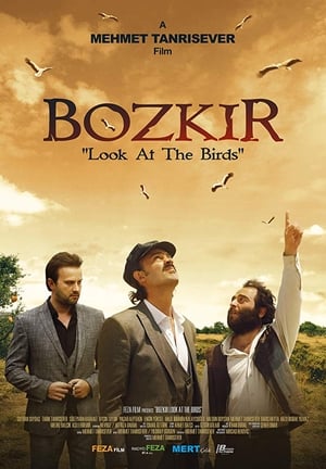Poster Bozkir "Look at the Birds" 2019