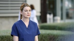 Grey’s Anatomy S10E24