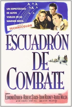 Poster Escuadrón de combate 1948