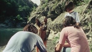 Japanese Spiderman Clever Dog, Run Back to Dad!