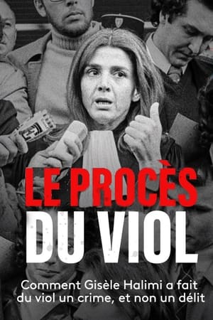 Poster Le Procès du viol 2013