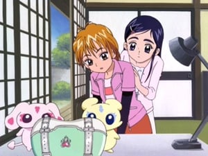 Pretty Cure: 1×36