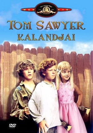 Image Tom Sawyer kalandjai