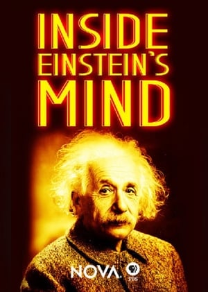 Image Inside Einstein's Mind: The Enigma of Space and Time