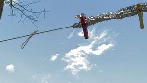 The Wind