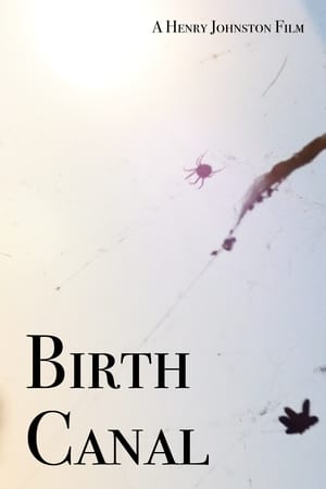 Poster Birth Canal (2020)