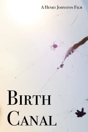 Image Birth Canal