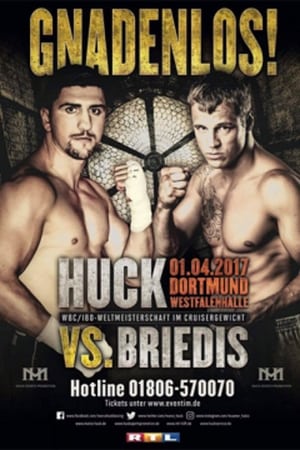 Poster di Marco Huck vs Mairis Briedis