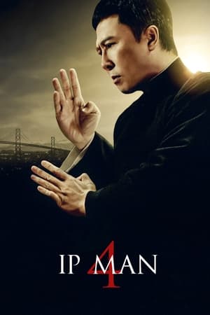 Ip Man 4: The Finale