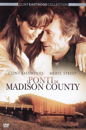 Poster I ponti di Madison County 1995