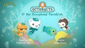 The Octonauts Season 2 Episode 21