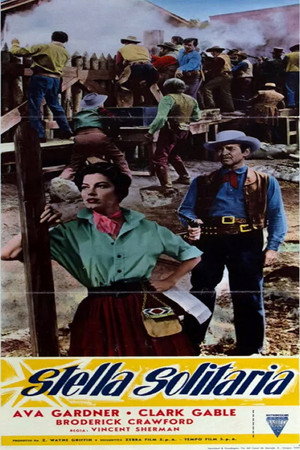 Lone Star 17