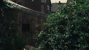 Kes 136