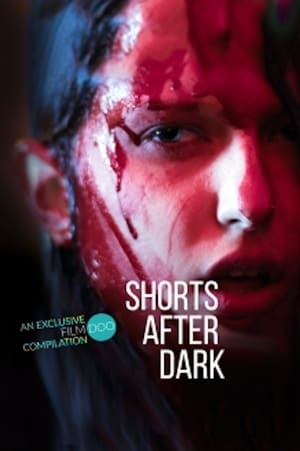 Poster Shorts After Dark 2019