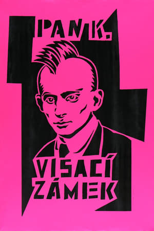 Poster Visací zámek 1982-2007 1993