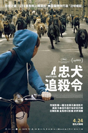 忠犬追殺令