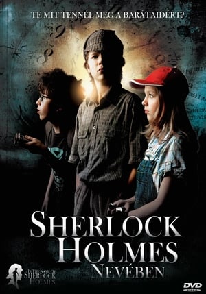 Poster In the Name of Sherlock Holmes 2011