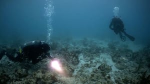 Beyond Oak Island Deep Water Gold