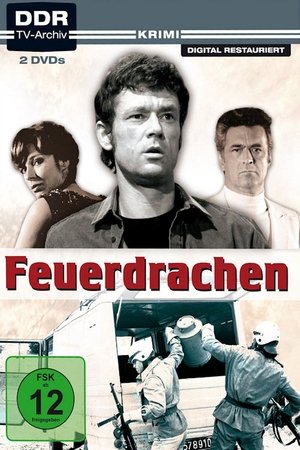 Feuerdrachen poster