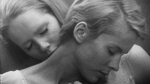 Persona – Ingmar Bergman