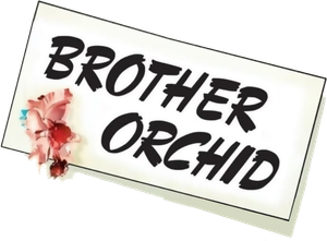 Brother Orchid
