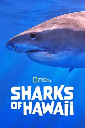 Poster Sharks of Hawaii (2021)
