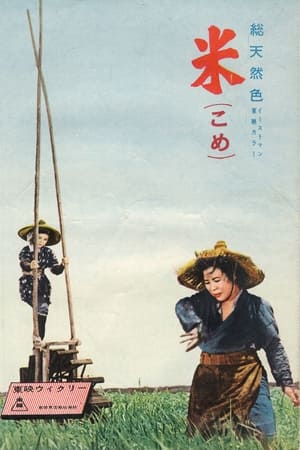 Poster 米 1957