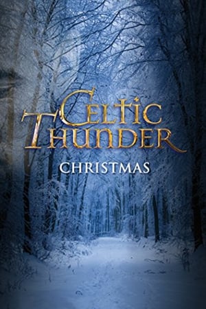 Poster Celtic Thunder: Christmas 2010