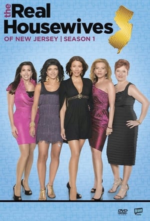 The Real Housewives of New Jersey: Seizoen 1