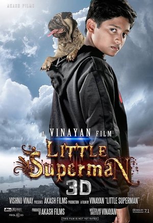 Poster Little Superman (2014)