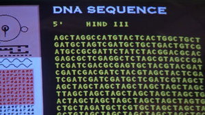Species 42