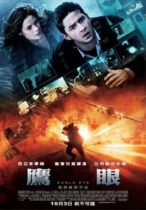 Poster 鹰眼 2008