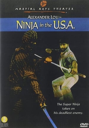 Ninja USA poster