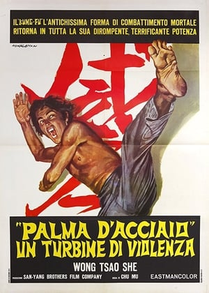 Poster The Invincible Iron Palm 1971
