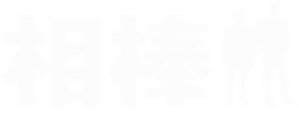 AIBOU: Tokyo Detective Duo
