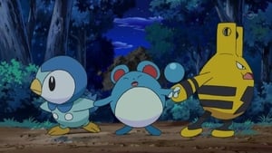 Pokémon Season 12 :Episode 33  Maril, Pochama, Elekid!!