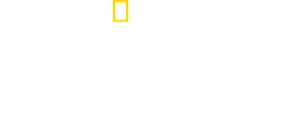 Secrets of the Zoo