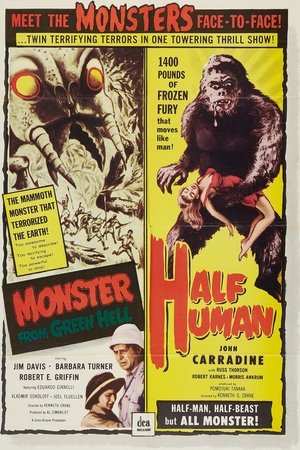 <Images posters