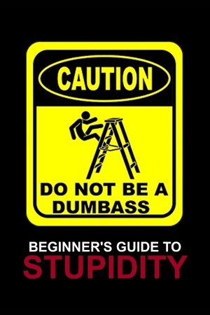 Beginner's Guide To Stupidity Beginner's Guide To Stupidity