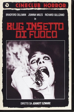 Bug - Insetto di fuoco
