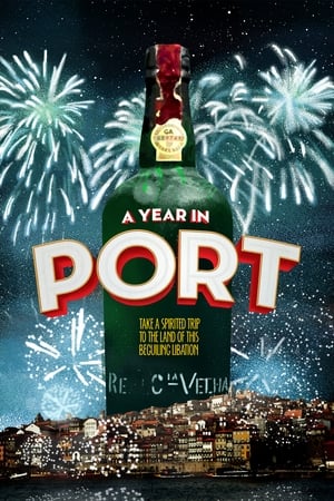 Poster A Year in Port 2016