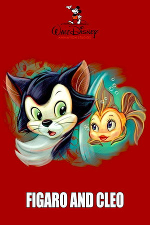 Figaro and Cleo 7