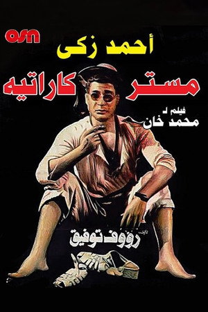 Mr. Karate 6