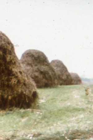 Haystacks