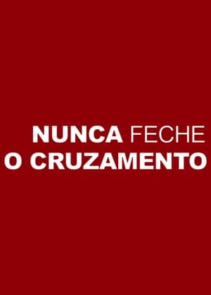 Poster Nunca Feche o Cruzamento (2011)