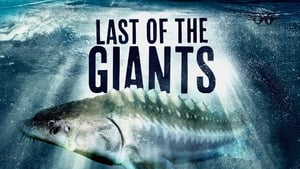 poster Last of the Giants