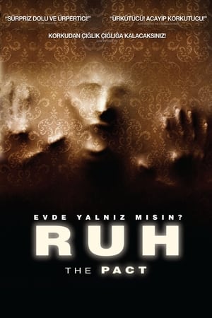 Poster Ruh 2012