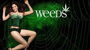 poster Weeds