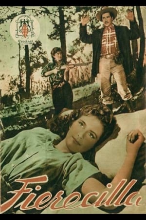 Poster Fierecilla 1951